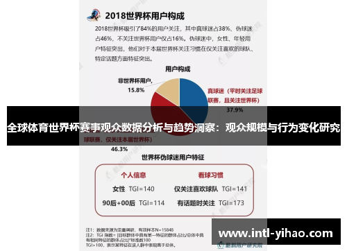 全球体育世界杯赛事观众数据分析与趋势洞察：观众规模与行为变化研究