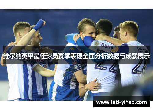 维尔纳英甲最佳球员赛季表现全面分析数据与成就展示