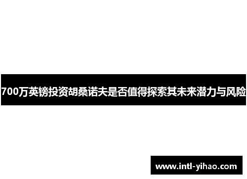 700万英镑投资胡桑诺夫是否值得探索其未来潜力与风险