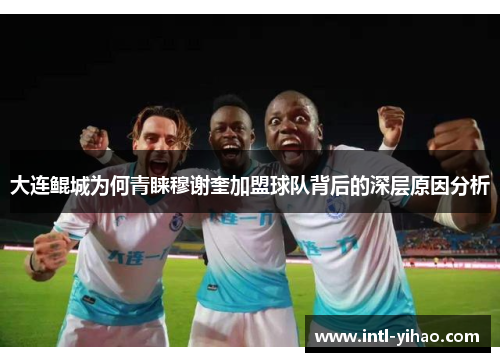 大连鲲城为何青睐穆谢奎加盟球队背后的深层原因分析