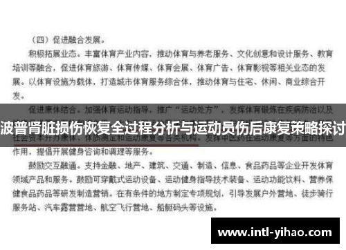 波普肾脏损伤恢复全过程分析与运动员伤后康复策略探讨