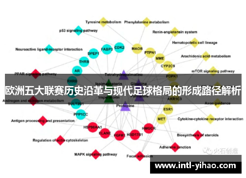 欧洲五大联赛历史沿革与现代足球格局的形成路径解析