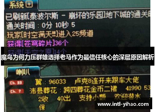 魔鸟为何力压群雄选择老马作为最信任核心的深层原因解析