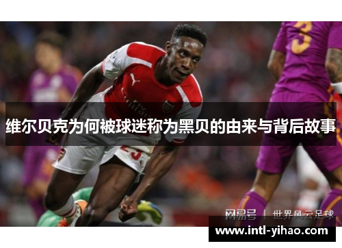 维尔贝克为何被球迷称为黑贝的由来与背后故事