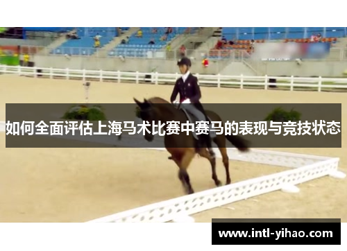 如何全面评估上海马术比赛中赛马的表现与竞技状态 如何全面评估上海马术比赛中赛马的表现与竞技状态