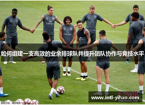 如何组建一支高效的业余排球队并提升团队协作与竞技水平